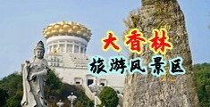 嗯啊嗯啊操高潮在线观看中国浙江-绍兴大香林旅游风景区